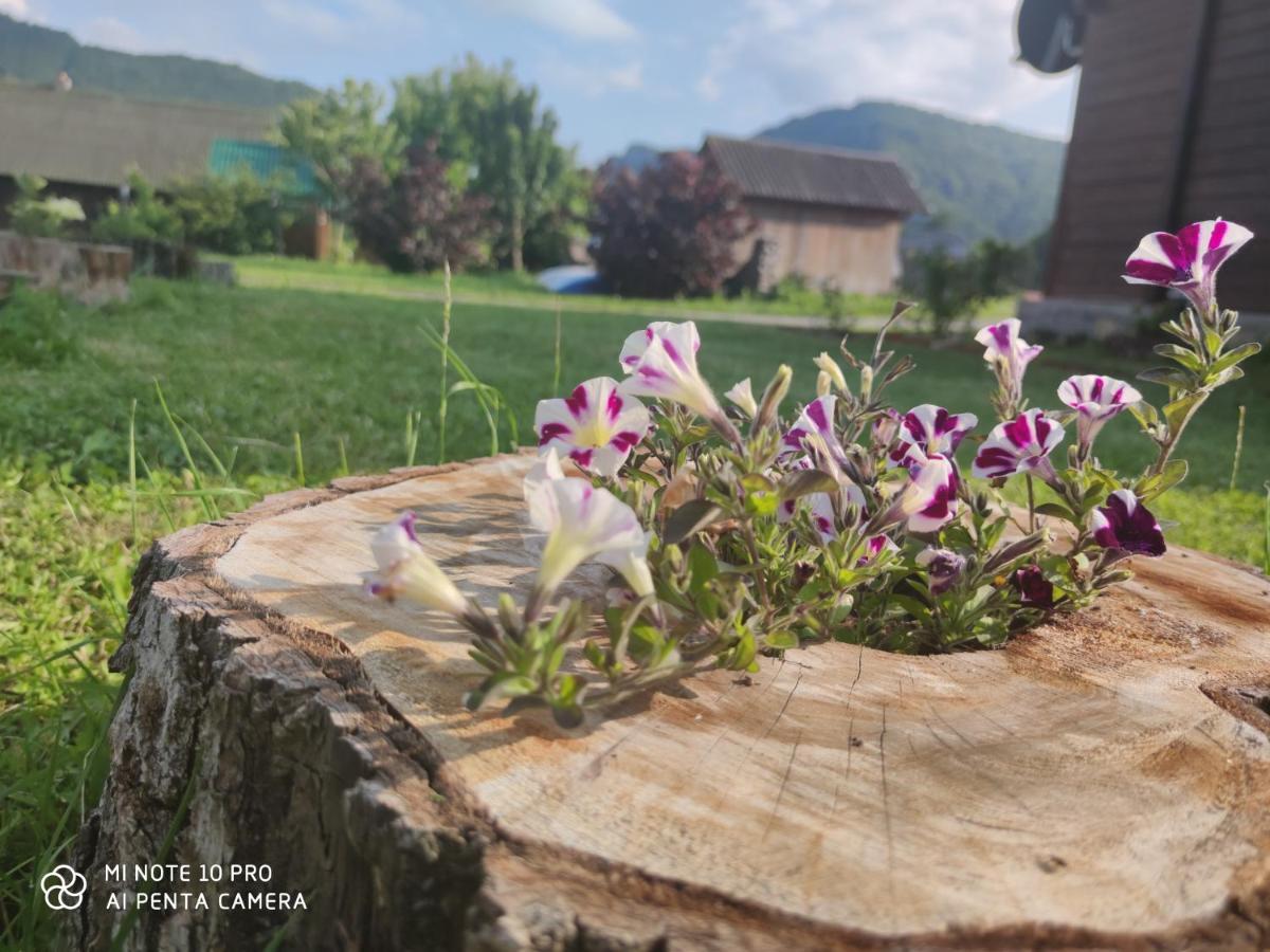 Apartmán Koliba A&A Kolašin Exteriér fotografie