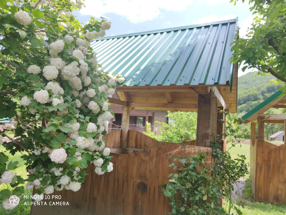 Apartmán Koliba A&A Kolašin Exteriér fotografie
